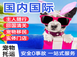 佛山沙堤机场空运国际宠物托运 【国